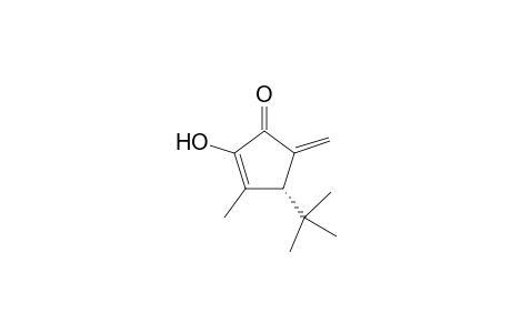 (R)-4-tert-Butyl-2-hydroxy-3-methyl-5-methylene-cyclopent-2-enone