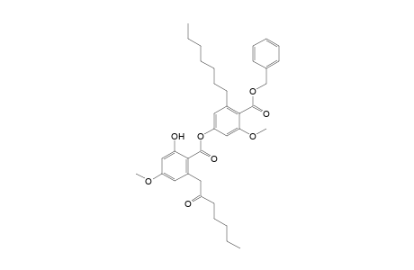 Benzyl 6-heptyl-4-[2'-hydroxy-4'-methoxy-6'-(2"-oxoheptyl)benzoyloxy]-2-methoxybenzoate