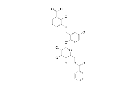 SYMPLOCOMOSIDE;2-[(3-PYROCATECHUOXY)-METHYL]-4-HYDROXYPHENYL-BETA-D-GLUCOPYRANOSIDE_6-BENZOATE