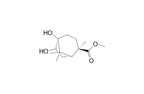4,8,8-Trimethyl-4-(methoxycarbonyl)bicyclo[3.2.1]octan-1,7-diol