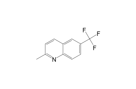 2-METHYL-6-TRIFLUOROMETHYLQUINOLINE