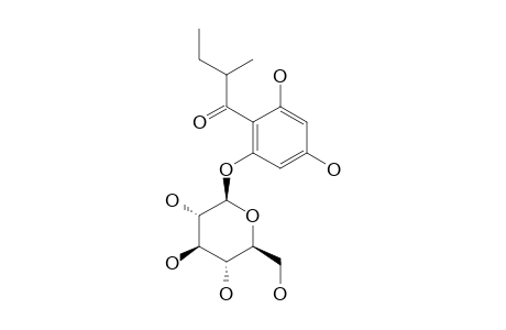 1-[(2-METHYLBUTYRYL)-PHLOROGLUCINYL]-BETA-D-GLUCOPYRANOSIDE