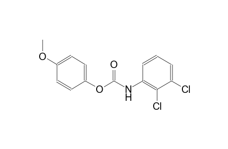 (2,3-Dichlorophenyl)carbamic acid 4-methoxyphenyl ester