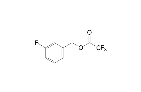 trifluoroacetic acid, m-fluoro-alpha-methylbenzyl ester