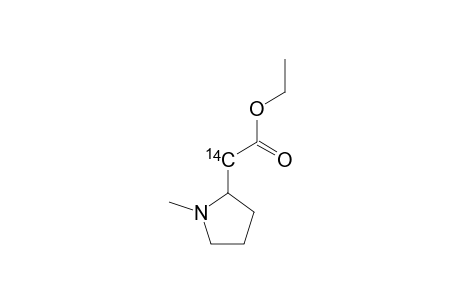 ETHYL-(R,S)-[1',2'-(13)C(2),1'-(14)C]-1-METHYLPYRROLIDINE-2-ACETATE
