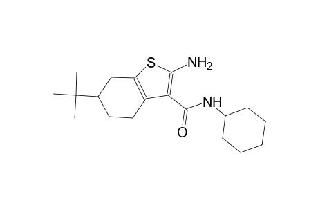 2-amino-6-tert-butyl-N-cyclohexyl-4,5,6,7-tetrahydro-1-benzothiophene-3-carboxamide