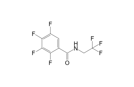 2,3,4,5-tetrafluoro-N-(2,2,2-trifluoroethyl)benzamide