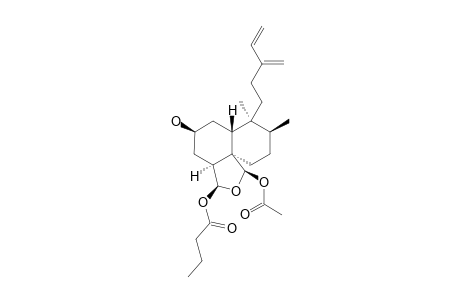 2-EPICASEABALANSIN_B;REL-(2-S,4-S,5-R,8-S,9-S,10-R,18-S,19-R)-18-BUTANOYLOXY-19-ACETOXY-18,19-EPOXYCLERODA-13-(16),14-DIEN-2-OL