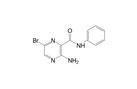 3-amino-6-bromopyrazinecarboxanilide