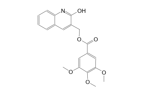 (2-hydroxy-3-quinolinyl)methyl 3,4,5-trimethoxybenzoate