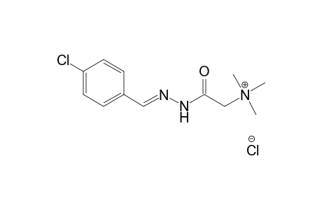 Ammonium, (carboxymethyl)trimethyl-, chloride, (p-chlorobenzylidene)hydrazide