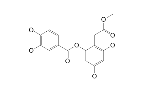 JABOTICABIN;METHYL_2-[(3,4-DIHYDROXYBENZOYLOXY)-4,6-DIHYDROXYPHENYL]-ACETATE