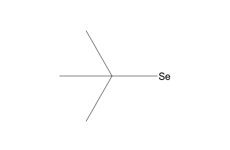 SE{C(CH3)3}H