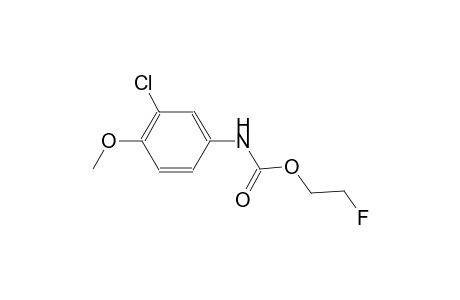 carbamic acid, (3-chloro-4-methoxyphenyl)-, 2-fluoroethyl ester