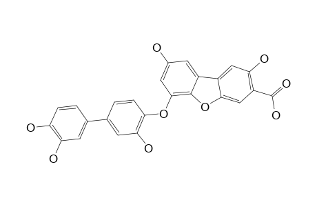 6-[4-(3,4-dihydroxyphenyl)-2-hydroxyphenoxy]-2,8-dihydroxydibenzofuran-3-carboxylic acid
