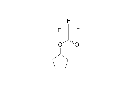 Cyclopentyl trifluoroacetate