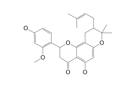 LEACHIANONE-B