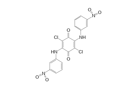 2,5-BIS(m-NITROANILINO)-3,6-DICHLORO-p-BENZOQUINONE