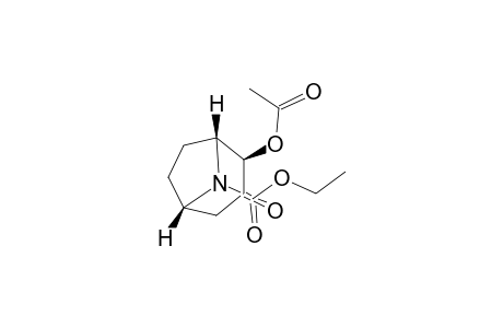 Ethyl (1R*,2R*,5S*)-(+-)-2-Acetoxy-3-oxo-8-azabicyclo[3.2.1]octane-8-carboxylate