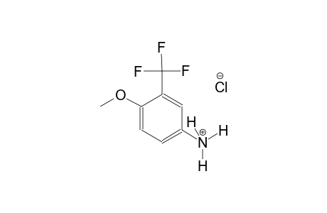 benzenaminium, 4-methoxy-3-(trifluoromethyl)-, chloride