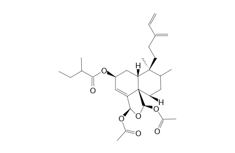 REL-(2S,5R,8S,9S,10R,18S,19R)-18,19-DIACETOXY-18,19-EPOXY-2-(2-XI-METHYLBUTANOYLOXY)-CLERODA-3,13(16),14-TRIENE