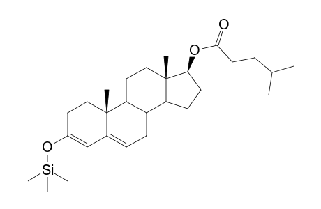 Testosteron-17-isocapronate 3,5-dienol, O3-TMS