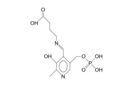 Pyridoxal phosphate G-amino-butyrate aldimine