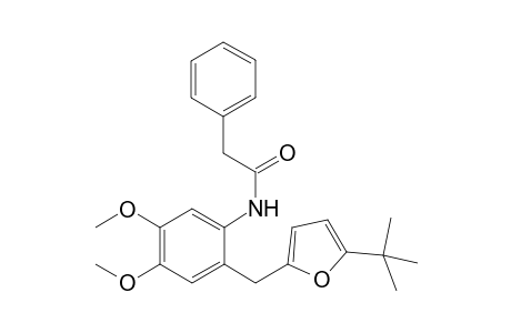 N-{2-[(5-tert-Butyl-2-furyl)methyl]-4,5-dimethoxyphenyl}-2-phenylacetamide