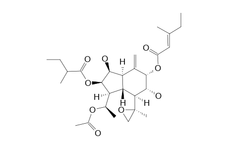 SONGARICALARIN_A;(1-S,2-R,3-S,3A-R,5-S,6-R,7-S,7A-S)-2-[(2-METHYLBUTANOYL)-OXY]-1-(1-ALPHA-ACETOXYETHYL)-OCTAHYDRO-3,6-BISHYDROXY-