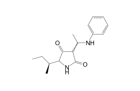 (5RS,6S)-5-sec-Butyl-3-(1-phenylamino)ethylidene-1H-pyrrolidine-2,4-dione