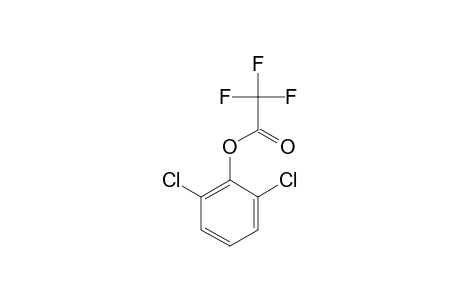 2,6-Dichlorophenol, trifluoroacetate