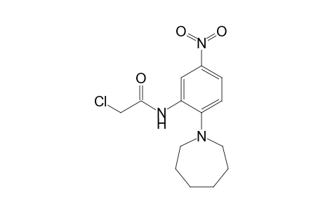 N-[2-(1-azepanyl)-5-nitrophenyl]-2-chloroacetamide