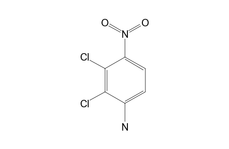 2,3-Dichloro-4-nitro-aniline