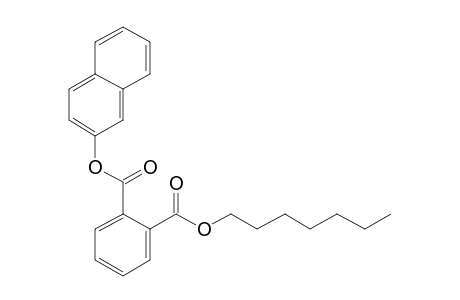 Phthalic acid, heptyl 2-naphthyl ester