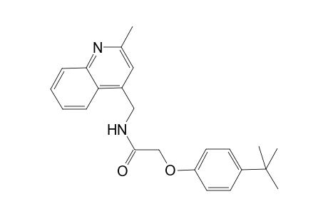 Acetamide, 2-[4-(1,1-dimethylethyl)phenoxy]-N-[(2-methyl-4-quinolinyl)methyl]-