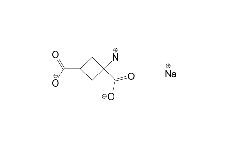 1-AMINO-1,3-CYCLOBUTANEDICARBOXYLIC ACID, MONOSODIUM SALT