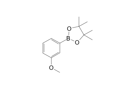 2-(3-Methoxyphenyl)-4,4,5,5-tetramethyl-1,3,2-dioxaborolane