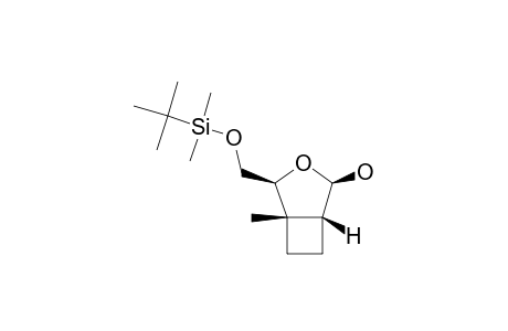 (1R,2R,4S,5S)-4-TERT.-BUTYLDIMETHYLSILYLOXYMETHYL-5-METHYL-3-OXABICYCLO-[3.2.0]-HEPTAN-2-OL
