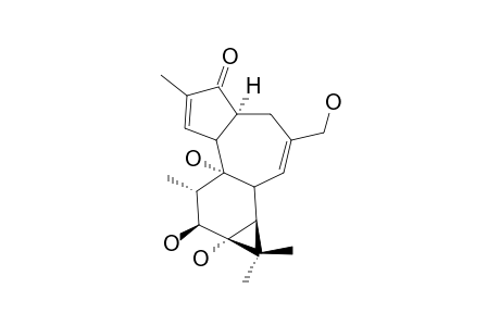 DEOXYPHORBOL