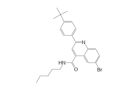 6-bromo-2-(4-tert-butylphenyl)-N-pentyl-4-quinolinecarboxamide