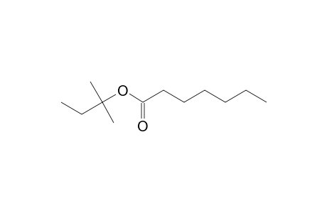 tert-Pentyl heptanoate
