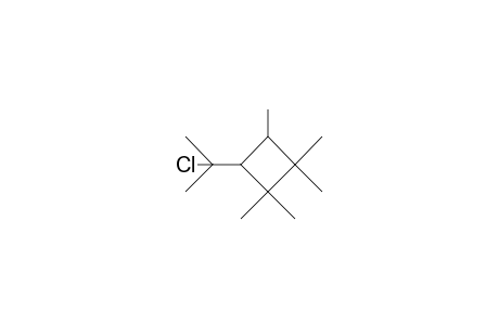 trans(?)-3-(1-Chloro-1-methyl-ethyl)-1,1,2,2,4-pentamethyl-cyclobutane