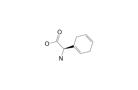 (2R)-Amino(1,4-cyclohexadien-1-yl)ethanoic acid