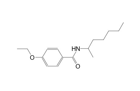 4-ethoxy-N-(1-methylhexyl)benzamide