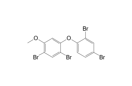 1,5-Dibromo-2-(2,4-dibromophenoxy)-4-methoxy-benzene