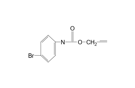 p-bromocarbanilic acid, allyl ester