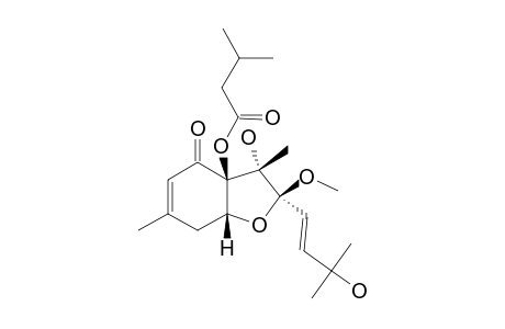 LIGNIVOLONE_D