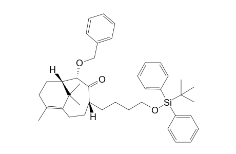 4-{1'-[4"-(t-Butyldiphenylsilyl)oxy]butyl}-8,11,11-trimethyl-2-(phenymethoxy)bicyclo[5.3.1]undec-7-en-3-one
