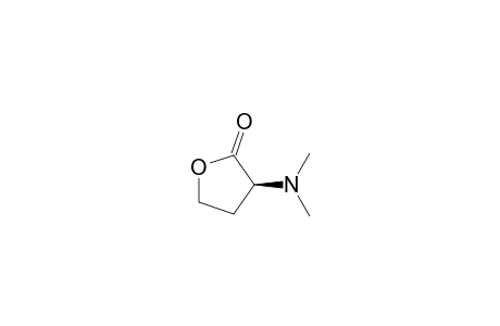 N,N-dimethylhomoserine lactone