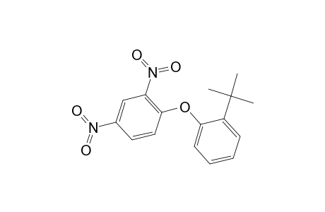 Benzene, 1-[2-(1,1-dimethylethyl)phenoxy]-2,4-dinitro-
